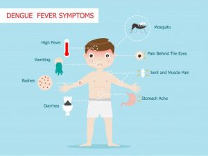 Common Symptoms of Dengue Fever